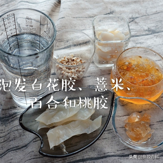 百花胶泡发 2026年白花胶要浸泡多久