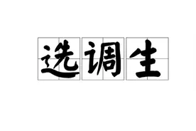 “选调生上岸”=“高枕无忧”？选调生的利弊要看透，报考需谨慎图片