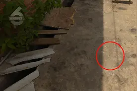 恶心！袋装小鱼干竟然是路边晒被猫狗吃过的小鱼加工制成图片