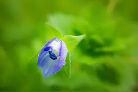 真正的“小人”，往往有八个行为特征，遇到了要小心，以免受伤害图片