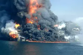 海豚，无处可逃图片