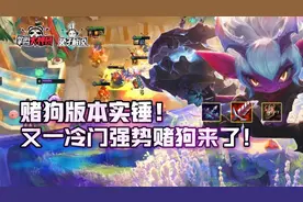 云顶之弈赌狗版本实锤！又一冷门强势赌狗来了图片