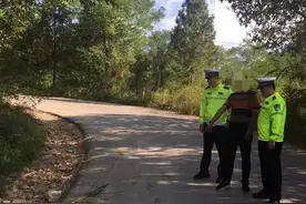 肇事逃逸？逃得快！抓的更快！图片