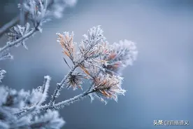 今年贵州的冬天会比往年更冷吗？省气候中心给出了答案图片