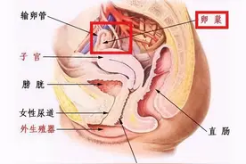 这个专坑女性的保养项目，没任何效果，别再被骗了！图片
