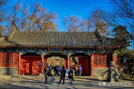 “985大学”不要说 985 University图片