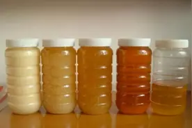 如何辨别蜂蜜的真假？30年蜂农：学会这4招，以后不花冤枉钱图片