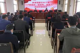 林皋镇召开新任村干部"学党史、强党性、提能力"培训会图片