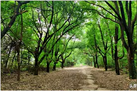 合肥电机厂及其周边地块今日正式启动征迁图片