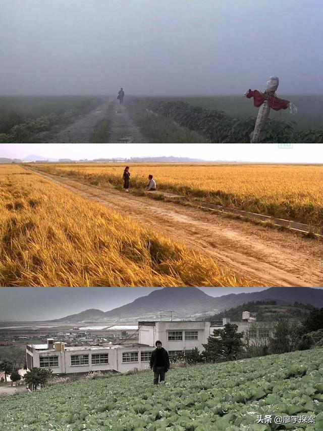我在《七宗罪》《杀人回忆》中发现看似无意，实则刻意隐藏的细节