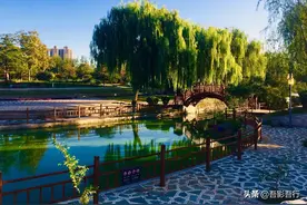 早晨燕郊植物园，景特美人特少，跑步的人特别多，还有黑天鹅哦图片