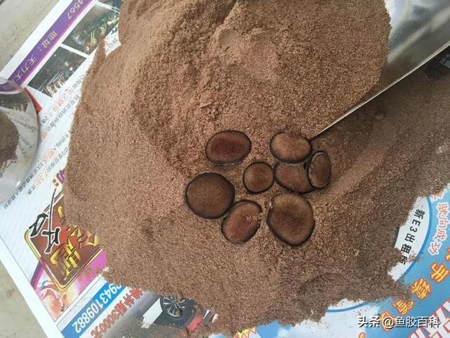 吃了鹿茸当天可以吃花胶吗 2026年吃了鹿茸后能吃花生吗