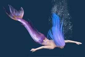 一梦——鱼尾1图片