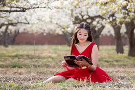 梨花如雪，美女如花图片