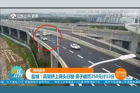 高架桥上调头导致拥堵 任性司机被罚250元计13分图片