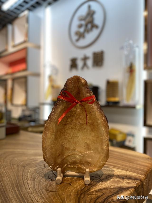 鳕胶与花胶的区别 2026年鳕胶与花胶的区别图片