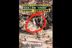 河南一大蛇坟头晒太阳，持续近1个月引热议，网友：难道没冬眠？图片
