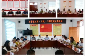 大贵镇开展三村•三级•三联党建主题活动图片