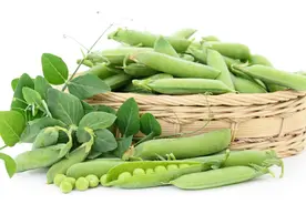 “白豌豆”、“青豌豆”它们区别很大，别选错了，不好吃还浪费钱图片