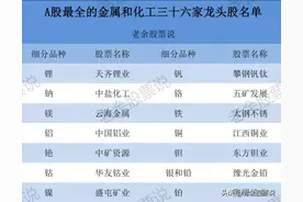 A股最全的金属和化工概念龙头股，龙头股就看这两大板块图片