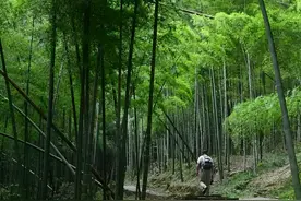 去宁波江北乡村享受慢生活图片