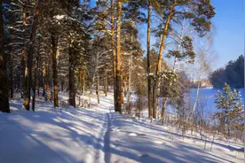 全球最孤单的女人：独居深山76年，亿万富翁直接送了一套房给她图片