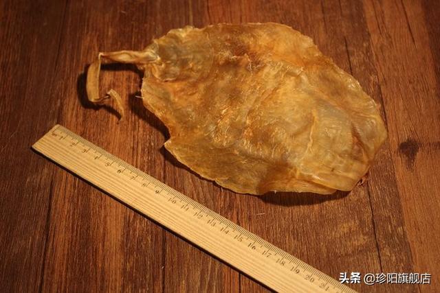 鱼胶两三天没换水还能吃吗 2026年鱼胶两三天没换水还能吃吗为什么