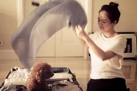 汪峰纪录片里的娇妻，在家几乎不穿鞋，网友：一双“少女脚”抢镜图片