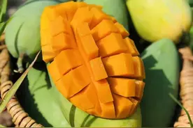 一份攀枝花水果上市时间图鉴图片