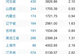 31省份审计揭露地方债痼疾，专项债的盘子有多大？图片