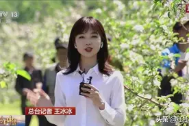 冰冰还是那个冰冰，只不过主持了一场红毯秀，网友风评咋就变了？图片