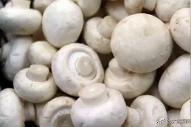 唯一能提供维D的蔬菜，营养又鲜美，多给老人孩子吃，就是有点贵图片