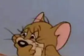 汤姆猫和杰瑞鼠搞笑表情包合集，猫和老鼠表情包图片