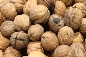 选核桃，剥核桃有妙招，放在锅里一蒸，用手一捏，轻松剥出核桃仁图片