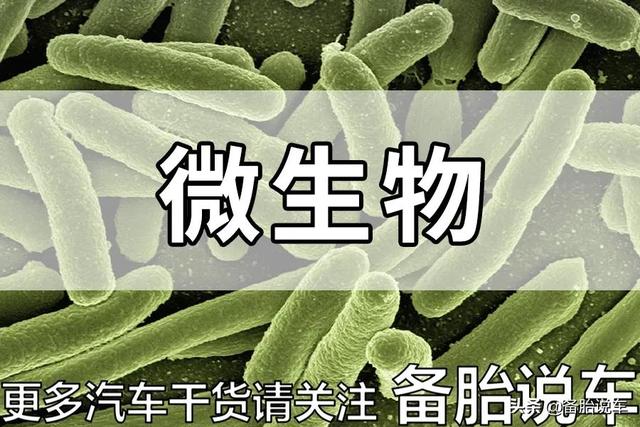 500元洗一次?4S店推荐的空调清洗有必要吗?