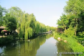 隐珠大集被取消？官方回应来了 西海岸新区最新民生热点，个个与你相关图片