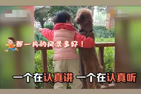 萌娃“跨物种交流”，与狗狗并肩看风景：一个认真讲，一个认真听图片