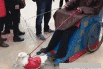 「开心一刻」物理老师讲一份卷子，因为班级底子好，讲的特别快图片