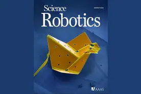 中国科学家联合造出世界最小千纸鹤，大小只有几十微米！｜专访图片