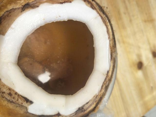 花胶能和椰子一起吃吗 2025年花胶能和椰子一起吃吗宝宝 花胶能和椰子一起吃吗 2025年花胶能和椰子一起吃吗宝宝