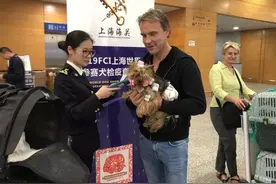 可以直接带“汪星人”入境了！海关宠物新政明起正式施行，你关心的问题这里有答案图片
