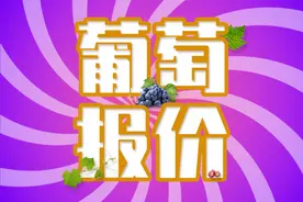 6月22日葡萄报价，夏黑仍呈下降趋势，整体价格平稳图片