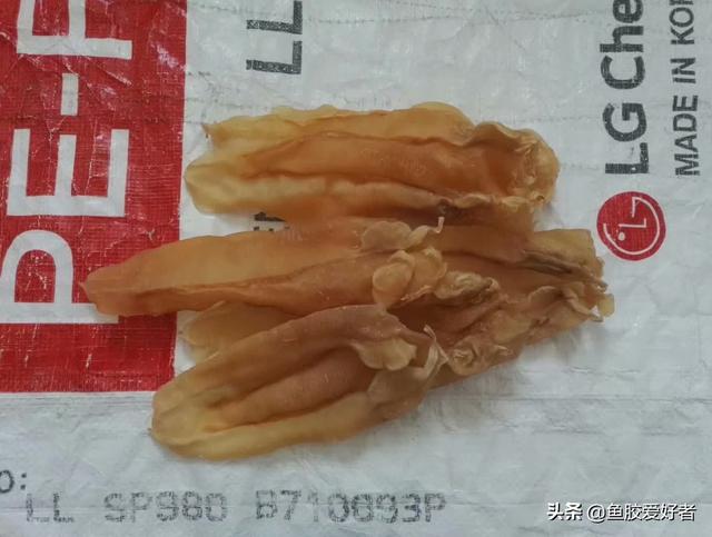 苏里兰北海花胶 2026年北海苏里南鱼胶