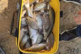 野钓如何保证鱼获？几个低保方案请收好，吃几顿肯定没问题图片