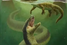 5500万年前，地球发了一次“高烧”，孕育了史上最大的蛇图片