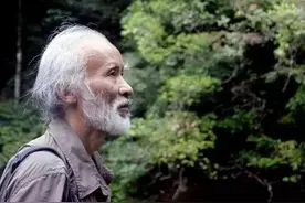 号称世界上最贵的毒蛇，莽山烙铁头为什么一条价值上百万？图片