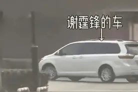 谢霆锋用行动破传言，“锋芝复合”，终成泡影图片