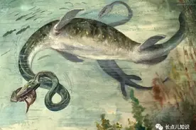 世界十大恐怖海怪传说，真的有海怪吗？图片