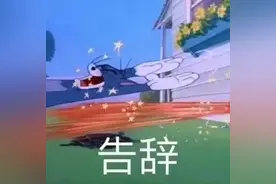 表情包｜略略略图片