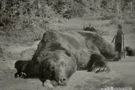 世界上最恶劣的棕熊吃人事件，巨型食人熊袭村，只吃女人和孩子图片